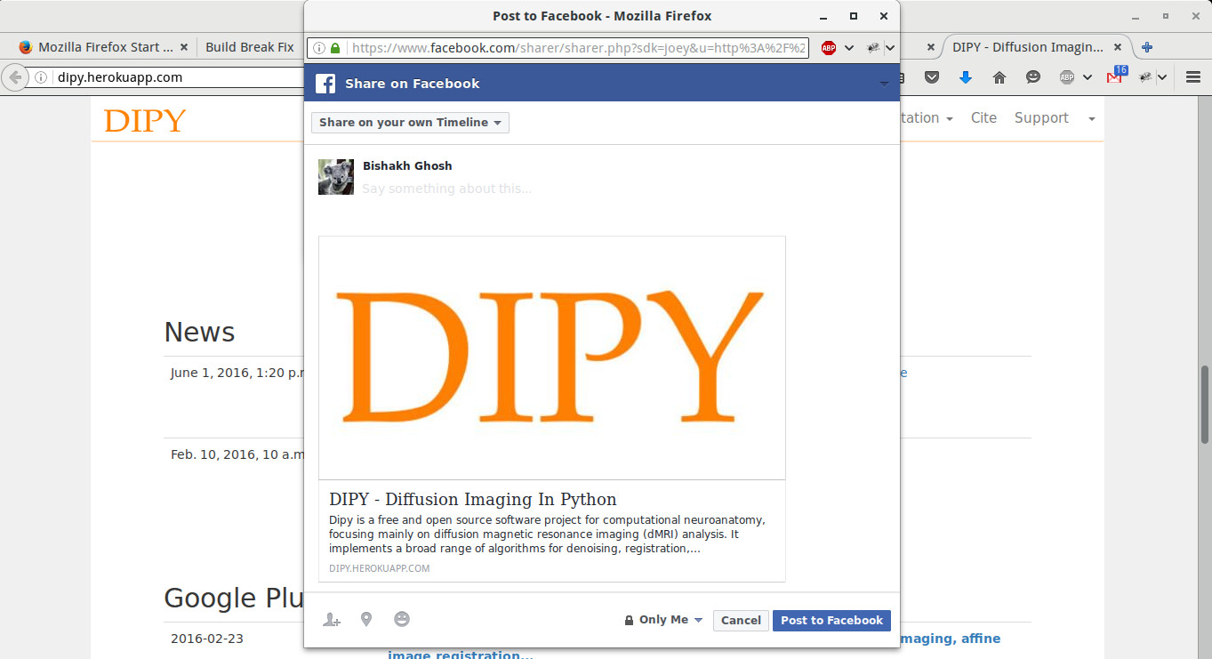 dipy SEO share page screenshot